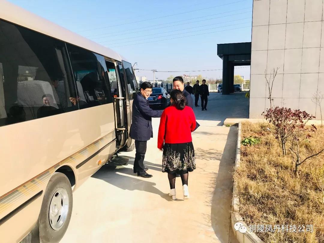 热烈欢迎铜陵市市委书记一行莅临公司指导工作
