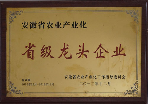 201472812144142.jpg
