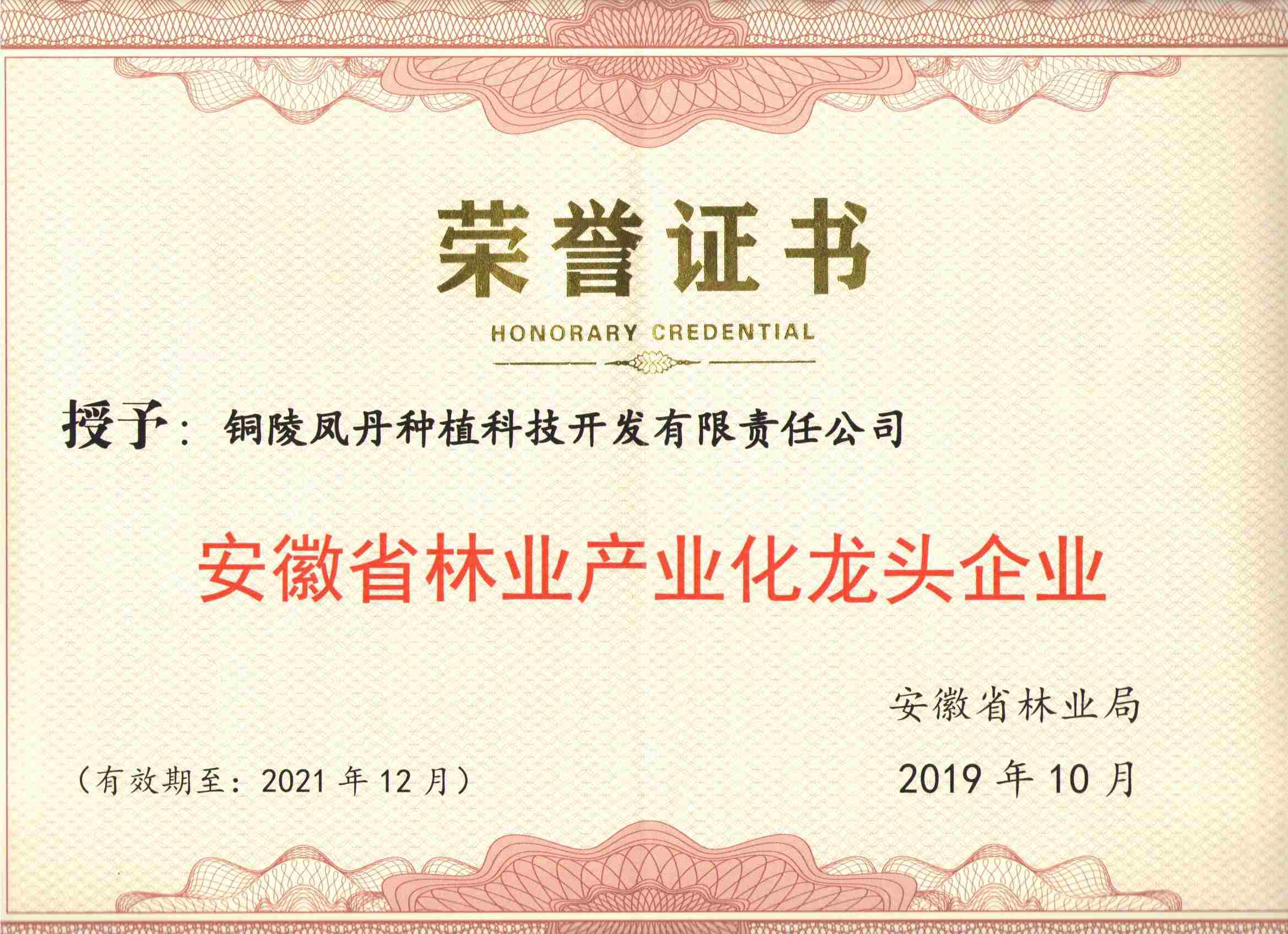 林业龙头企业 001.jpg